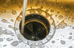 wash and clean your garbage disposal