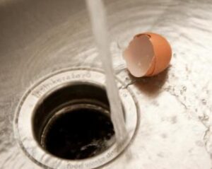do eggshells go in the garbage disposal
