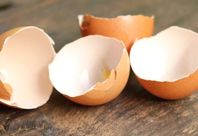 why is it bad to put eggshells in garbage disposal